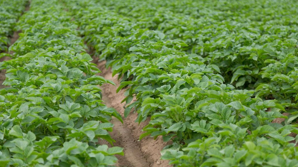 « On a eu en 2025 les volumes dont on aura besoin en 2030, avec les usines en cours de construction. »