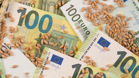 Les prix du blé Euronext se situent depuis des semaines dans un tunnel oscillant entre 185 et 195 €/t