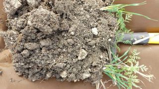 Le test bêche, aussi appelé méthode VESS, consiste à prélever un bloc de terre et à noter la structure des différents horizons.