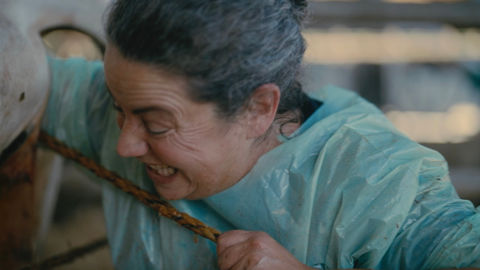 La réalisatrice Marianne Kerfiden a filmé le quotidien d’Amélie Jolivel, vétérinaire spécialisée en rurale, installée à Châteaubriant, en Loire-Atlantique.