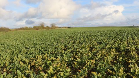 Une quarantaine de producteurs ont déjà souscrit des parts sociales, ce qui représente 250 ha sur les 450 nécessaires pour le projet de la fABrique à sucres.