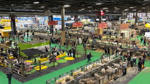 La pavillon 1 n'accueille pas de bovins pour la première fois de son histoire au Salon de l'agriculture.