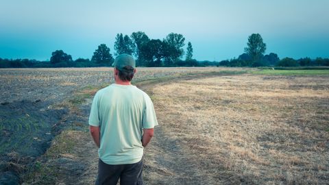 82 % des répondants se déclarent préoccupés par le changement climatique.