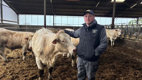 Sébastien Renier associe vêlages d'automne, et vêlages deux ans sur une partie des génisses pour limiter le chargement, et avoir le moins d'animaux possible durant la période sèche.