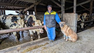 Les taurillons ont été valorisés entre 3 000 et 3 500 € par tête en 2025.