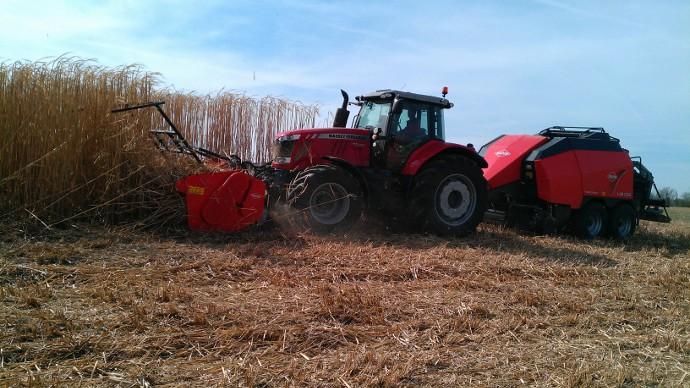 Récolte du miscanthus avec broyeur frontal Kuhn