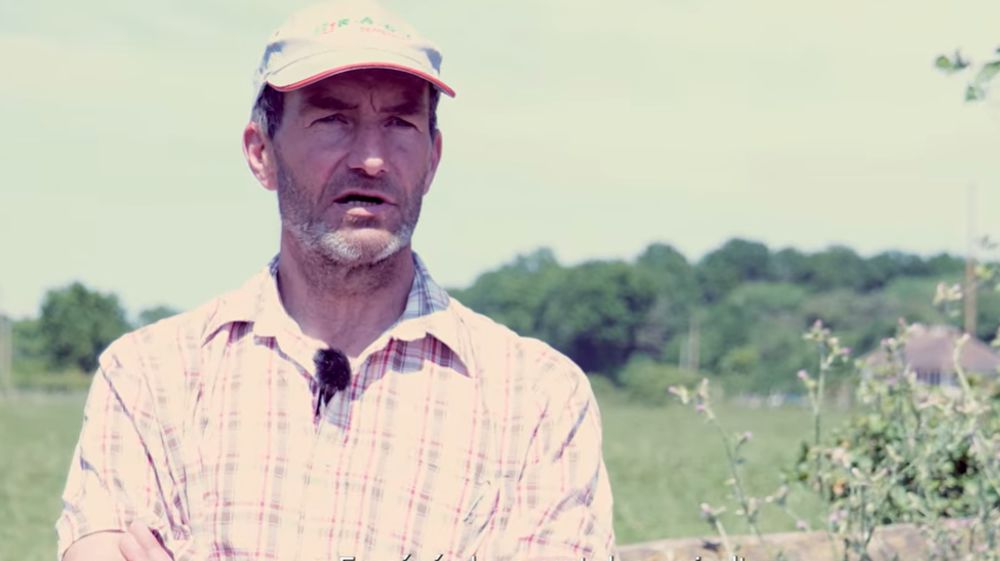 Fièvre Q : Déterminer le statut de votre troupeau pour vendre des animaux