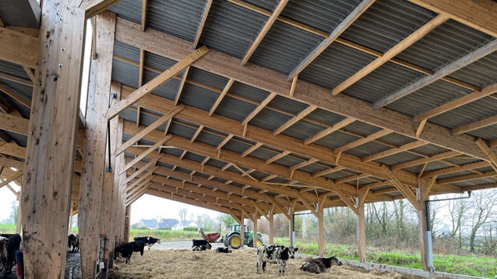 Toiture fibres-ciment pour bâtiment bovin : levier de bien-être et de performance