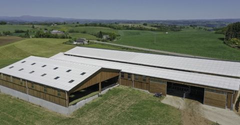 Compos&eacute;es de ciment, d&rsquo;eau et de fibres naturelles, les plaques ondul&eacute;es en fibres-ciment assainissent l&rsquo;atmosph&egrave;re du b&acirc;timent bovin.