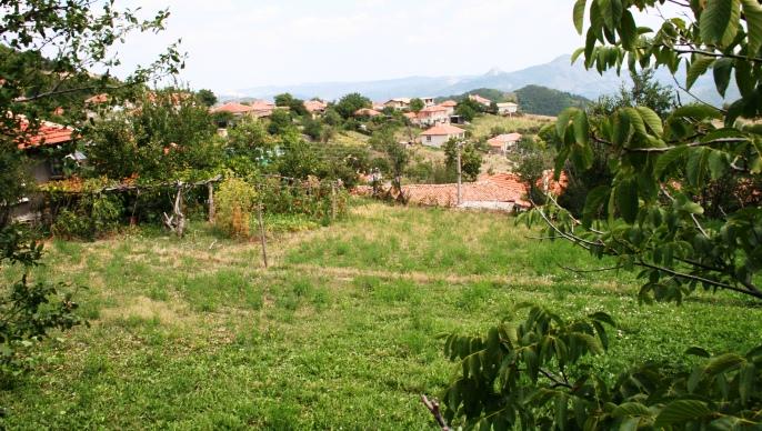 La production laitière est essentielle en zone de montagne pour maintenir une agriculture en zone rurale.