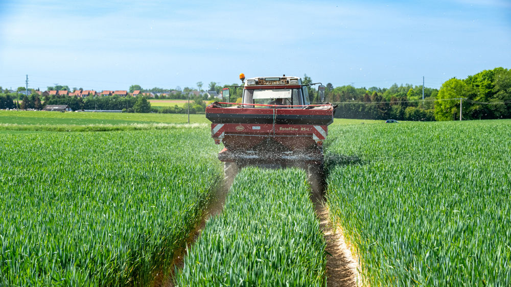 La filière craint que certains agriculteurs fassent des impasses sur les derniers apports d'azote en blé.