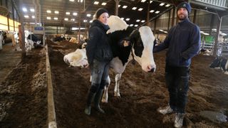 « L'évacuation de l'humidité est prépondérante dans notre système », déclarent Clara et Mathieu Collet.