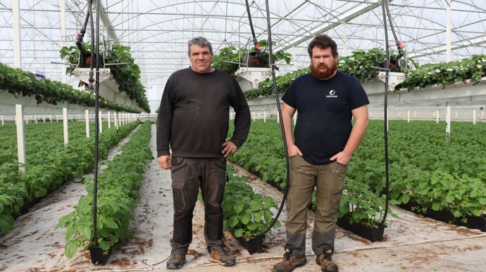 Avec la fraise hors sol, Thierry Jurdic (à gauche) et son fils Vincent ont appris un nouveau métier, complémentaire aux céréales, vergers et fraises de plein champ.