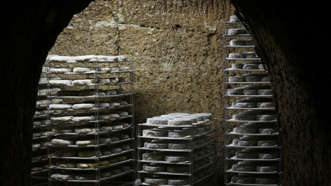 L’interprofession du saint-nectaire soumet au vote des producteurs fermiers et des affineurs un plan de régulation de l’offre.