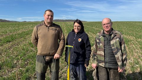 De gauche à droite, Adrien Taviaux, Marion Breuil et Claude Taviaux, dans une parcelle de blé de maïs.