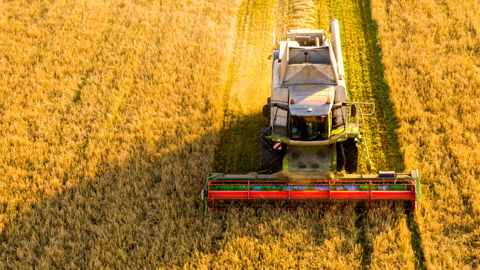 Top 6 des sites de vente en ligne de produits agricoles