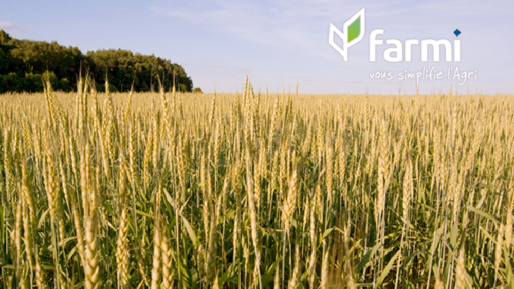 Tableau densité de semis maïs : peuplements par précocité en 2026