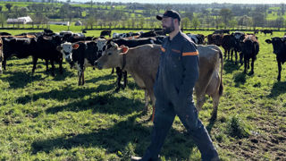 « Mon partenaire au quotidien » : pourquoi Thibault mise sur son Kubota M5002