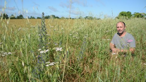 Gilles Paré, agriculteur à Beaufort-en-Anjou (Maine-et-Loire) : « Les bandes fleuries, cela ne fera pas tout, mais cela peut aider à réduire certaines interventions d’insecticides ».