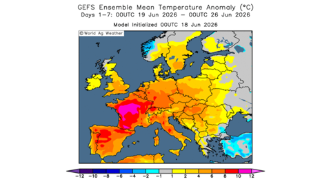 Les cultures françaises subissent des conditions extrêmes.