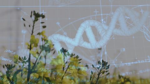 L'utilisation de plantes NGT sera désormais permise au sein de l'UE, mais seront-elles réellement accessibles ?
