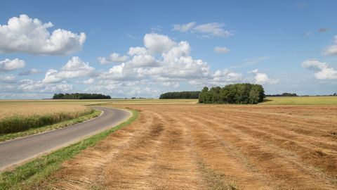 « Le travail de sélection variétale consiste en somme à trouver le mouton à 5 pattes », résume Romain Valade, responsable du département Adaptation des cultures aux contextes agroclimatiques chez Arvalis.