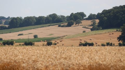 Retrouvez les principales mesures du projet de loi d'urgence agricole.