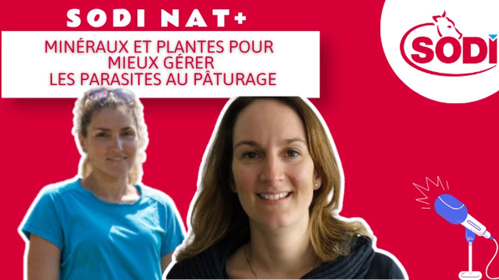 Sodi Nat+ : minéraux et plantes pour mieux gérer les parasites au pâturage