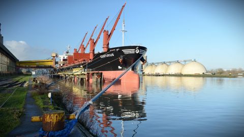5,6 Mt de blé et 2,6 Mt d'orge ont été exportés depuis les terminaux rouennais sur 2025/26.