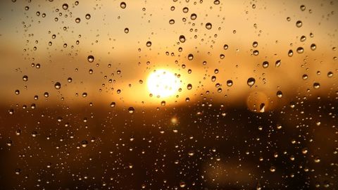 Selon Copernicus, des conditions plus humides dans le sud puis le centre de l'Europe sont probables à l'automne, accompagnées 
de températures nettement supérieures aux normales sur tout le continent.