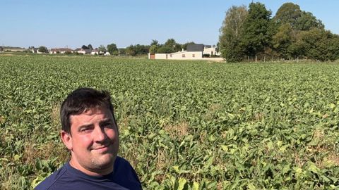 « Avant, avec le traitement par enrobage des semences de betterave, nous ne savions pas ce qu'étaient les problèmes de jaunisse », avance Damien Van Isacker, agriculteur dans l'Aisne depuis 2020.