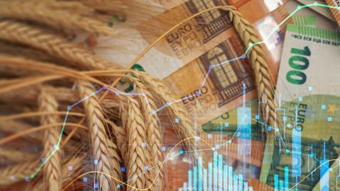 Bond de 6 €/t pour le blé sur Euronext ce 30 juillet.