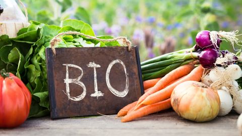 Le secteur de l'agriculture biologique peine à retrouver les niveaux d'avant la crise.