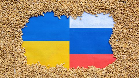 Sur la période juillet-septembre, les exportations de blé par la Russie (2e exportateur mondial) et l'Ukraine (4e exportateur) ont chuté à 8 millions de tonnes, un plus bas depuis la même période de 2010-11.