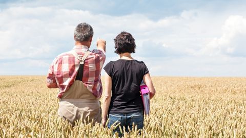 Le non-renouvellement de bail est un risque lors d'une transmission/reprise de ferme.