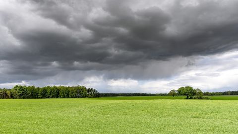 Des pluies favorables sont attendues en France.