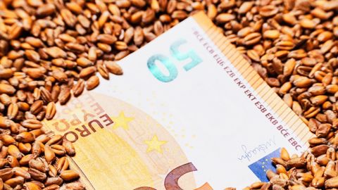 Le blé s'échangeait à 238,50 €/t mercredi 30 septembre sur Euronext.