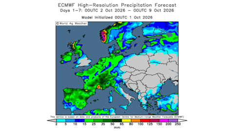 Les pluies en France risquent de ralentir les moissons de maïs.