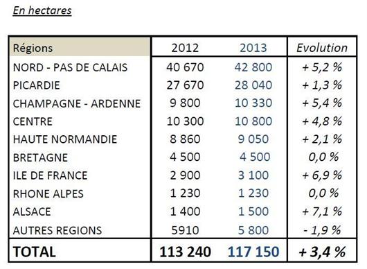 Surfaces emblavées en pommes de terre de conservation en 2013.