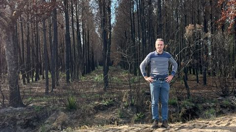 En Gironde, les feux de parcelles n'existent pas car il n'y a pas de céréales à paille.