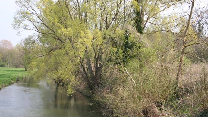 Cours d'eau