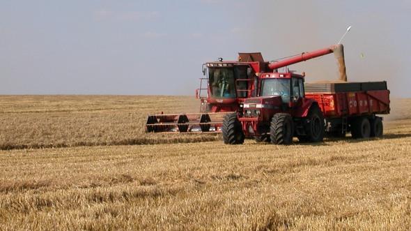 Cotisation volontaire obligatoire sur les céréales