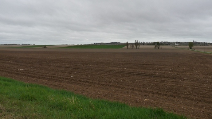 Terres agricoles