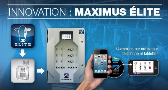 Logiciel de gestion d'élevage Maximus élite