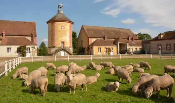 Bergerie nationale de Rambouillet