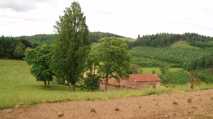 Ferme