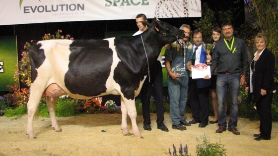 Escale sacrée Championne adulte Holstein.