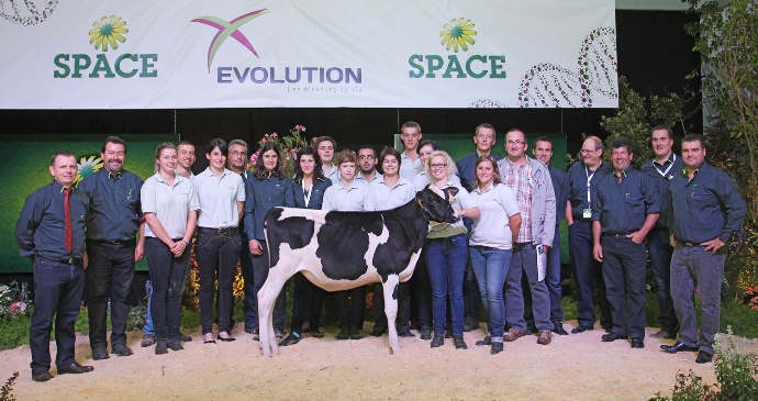 Top prix de la vente Arc Atlantique 2013