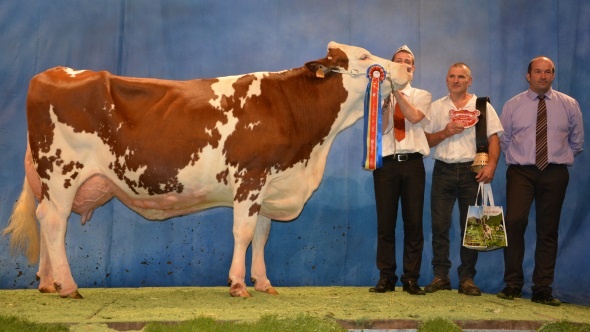 La championne adulte