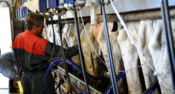 Organsations de producteurs